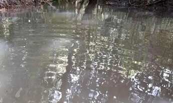 Imagem 2: Excelente Chácara de 2.3 Hectares no Córrego do Atoleiro Planaltina DF- Córrego nos Fundos