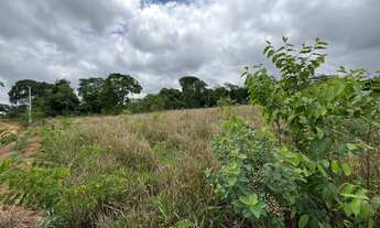 Imagem 4: Chácara de 6.000 m² em Caldazinha - Perto do Asfalto!