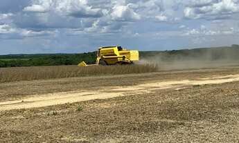 Imagem: Fazenda arrendamento 850 hec em Nobres MT