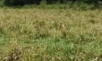 Imagem 5: VENDO FAZENDA REGIAO DE CALDAS NOVAS ( 6206