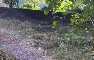 Imagem 4: AREA - CITY AMÉRICA - SP