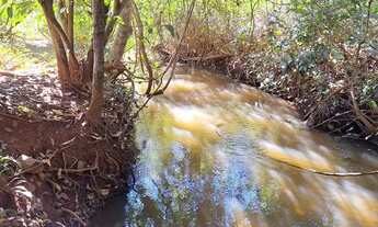 Imagem 6: Chácara Formada pra Pecuária ITAGUARI