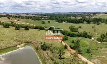 Imagem 6: Chácara 15,13 alquieres (73,26 hectares) Jandaia - Go