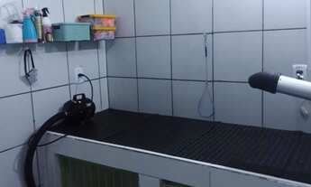 Imagem 7: Passo Pet Shop Galpão / depósito com venda por R$32.000