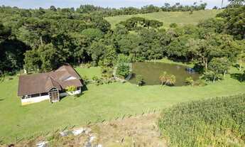 Imagem 2: Sítio com 10 Alqueires a 30 Min de Curitiba Estrutura Completa e 90% Mecanizável