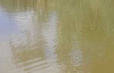 Imagem 2: Terreno com lagoa