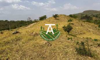 Imagem 3: Fazenda de 17 alq em Goias-GO