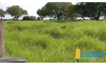 Imagem 3: Fazenda à venda, AREA RURAL POSSE-GO - Posse/GO