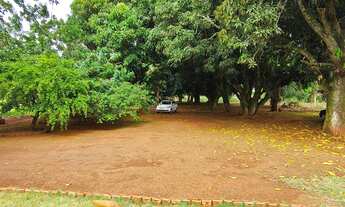 Imagem 7: Excelente Chácara de 2.3 Hectares no Córrego do Atoleiro Planaltina DF- Córrego nos Fundos