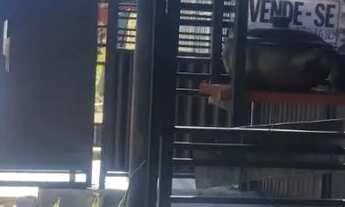 Imagem 2: Ponto comercial em construção 12 mt de área construída com banheiro,8 metros de quintal