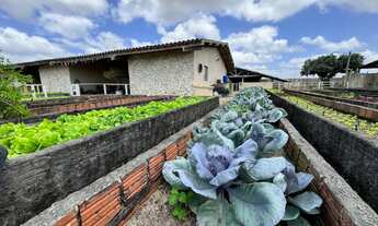 Imagem 6: FAZENDA REAL PAGAMENTO FACILITADO