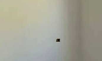 Imagem 6: Casa á venda com 2 quartos sendo 1 suíte no Santa Luzia em Campo Grande - MS