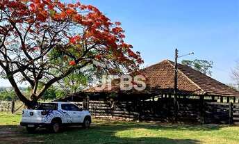 Imagem 2: Fazenda Ourinho de Deus - 63 alqueires - 7 km de Santa Tereza - Go