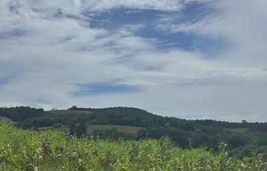 Imagem 3: Lote em Ibiúna em Bairro Valorizado