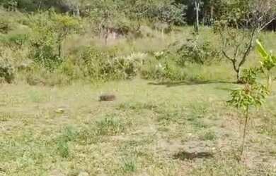 Imagem 5: Terreno tepequem