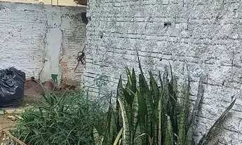 Imagem 5: Vendo Casa com 3 dormitórios