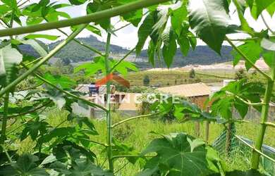 Imagem: Lote em Rua Nigéria - Outeiro de Passárgada