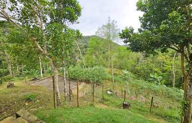 Imagem 4: Chácara de 7mil metros em Juquitiba