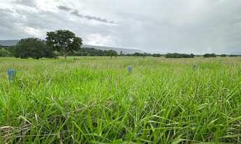 Imagem 7: Venda! Fazenda / sítio com venda por R$16.000.000