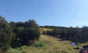 Imagem: Sítio em Limeira