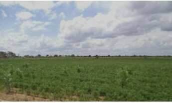 Imagem: Fazenda em Biritinga, 160 tarefas, energia