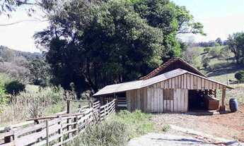 Imagem 5: Chácara em Três Coroas na divisa com São Francisco de Paula