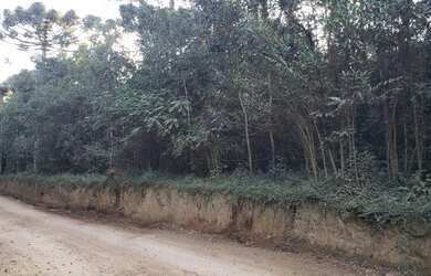 Imagem 4: Área em Catanduvas (Carambeí