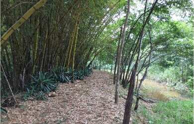 Imagem 3: Fazenda Na nossa senhora da guia