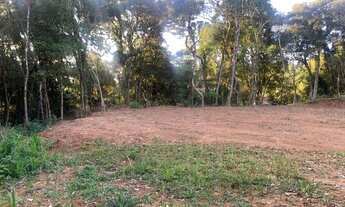 Imagem 3: Chácaras Parceladas em São José dos Pinhais