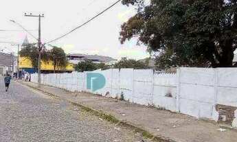 Imagem 2: Terreno à venda, 5000 m² por R$ 3.600.000,00 - Benfica - Juiz de Fora/MG