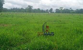 Imagem 3: Sítio com à venda, por R$ 855.000 - Sumaúma - Urupá/RO