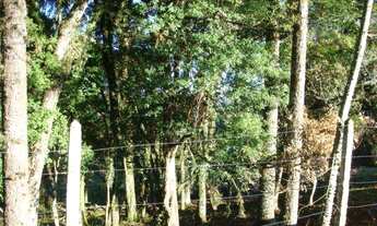 Imagem 7: Terreno em ótima localização, excelente investimento!