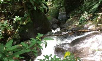 Imagem 4: Lote/Terreno para venda tem 24200 metros quadrados