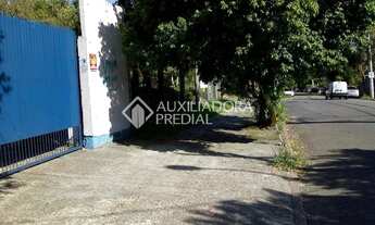 Imagem 4: PORTO ALEGRE - Terreno Padrão - Vila Ipiranga