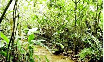 Imagem 2: Ubatuba, Praia do Felix - Pé na areia, sobrado com 200m2, estilo rustico, 04 Suítes