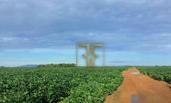 Imagem: Fazenda 34 Alqueires, Área Rural de Goiânia