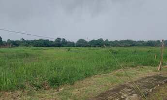 Imagem 2: Terreno Urbano Estrada do 40 horas.<br>Bairro Coqueiro / Ananindeua/ PA