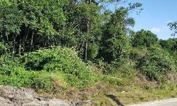 Imagem 5: Oportunidade: Área com 13.120m2 - Porto Grande - Araquari - SC