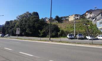 Imagem 3: Terreno na BR116 Caxias do Sul/RS