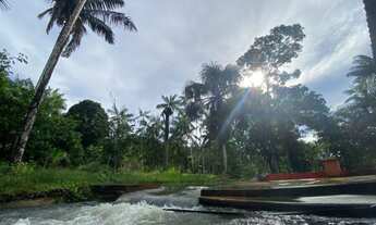 Imagem 4: Vendo 150 Mil Sítio na Am 010 Km 35 Ramal Água Branca 2(+9 km