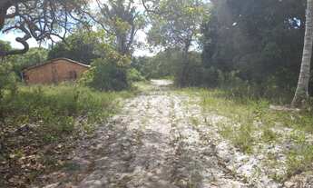 Imagem 2: Lote/Terreno para venda tem 2000M² - Mata de São João - BA a 11km de Praia do Forte