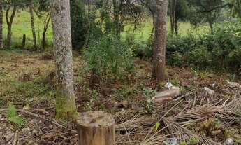 Imagem: Terreno no Tietê araucária
