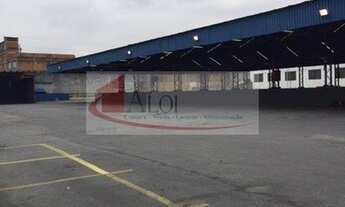 Imagem 5: Galpão em terreno de 6700 m² construção de 3100 m² nove metros de pé direito. Leopoldina d