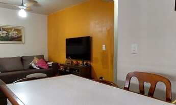 Imagem 3: CURITIBA - Padrão - Xaxim