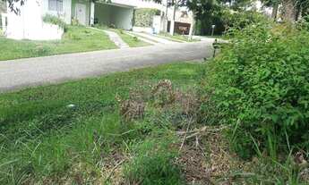 Imagem 6: Terreno pronto para construir