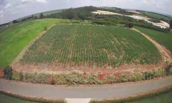 Imagem 2: Lindo sitio com 30 mil m², frente para o asfalto, açude grande nos fundos