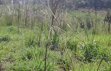 Imagem 2: Excelente oportunidade. Vendo uma bela Área: terreno de 88.778,53 metros quadrados em Itap