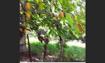 Imagem 6: Sítio a venda Chácara com venda por R$350.000