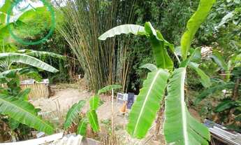 Imagem 3: Terreno à venda, 3523 m² por R$ 1.000.000,00 - Jardim Belizário - Cotia/SP