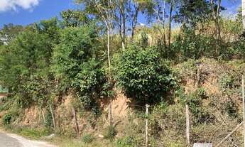 Imagem 3: EXCELENTE TERRENO NAS BRAUNES COM PROJETO APROVADO